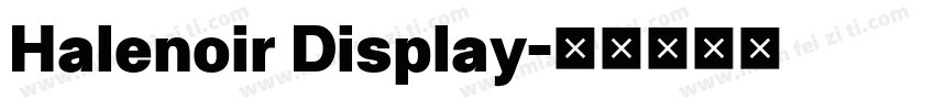 Halenoir Display字体转换